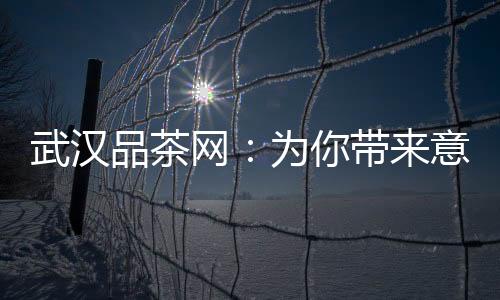 与狼同行，感受狼性的力量